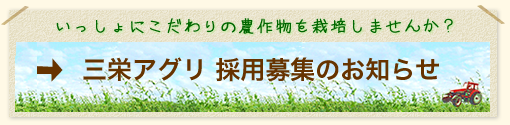 採用募集